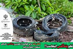  تخم‌پشه آئدس در تایرهای مستعل